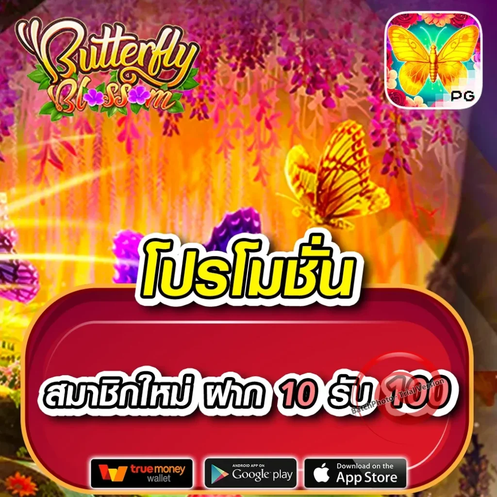 manjai 789 แตกง่าย